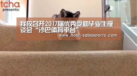 沙巴体育app