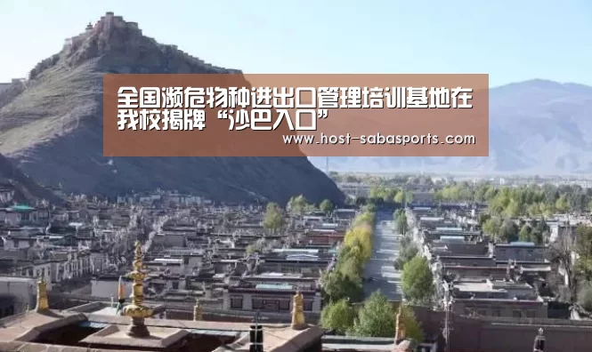 沙巴体育app