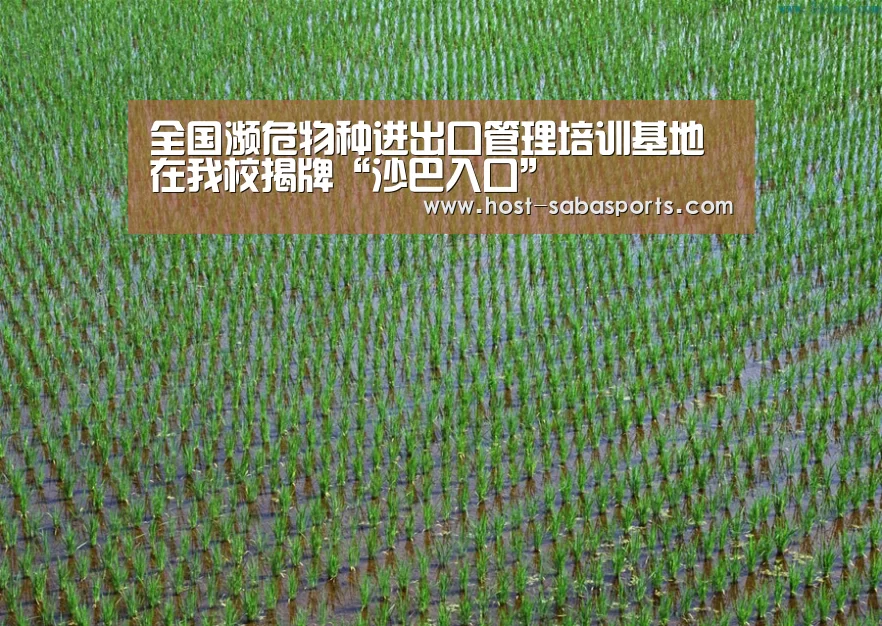 沙巴体育app
