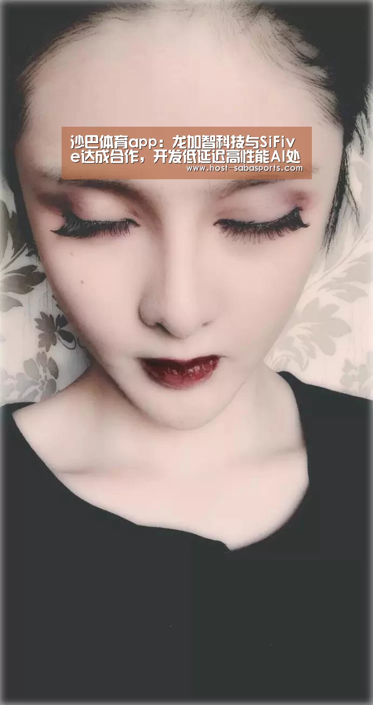 沙巴体育app:龙加智科技与SiFive达成合作,开发低延迟高性能AI处理器平台(图2) 沙巴入口