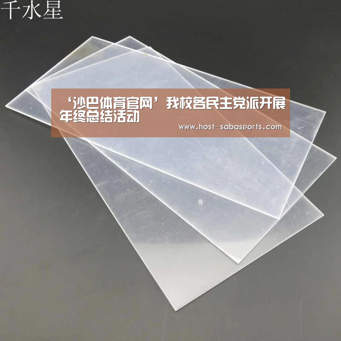 ‘沙巴体育官网’我校各民主党派开展年终总结活动(图1) 沙巴入口